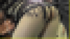 4433/「殴り込み撮り・キャンギャル無法地帯(117)」