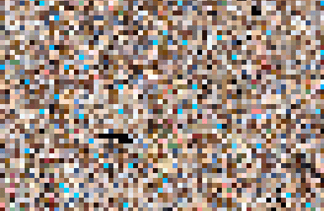 ★限定特価2セット★パンチラ・ブラチラモロ見え！清楚美女店員の赤裸々パンチラ盗撮動画セット?