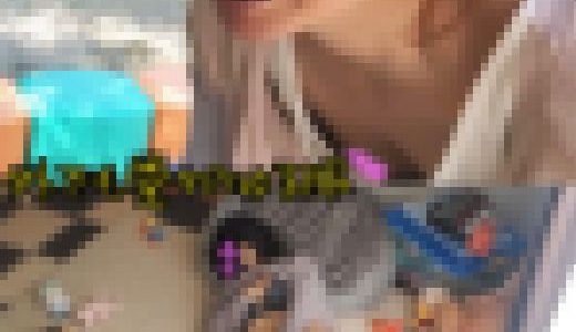 【個人撮影】幼●園の行事で乳首を晒していた妻の昼下がりオナニー④