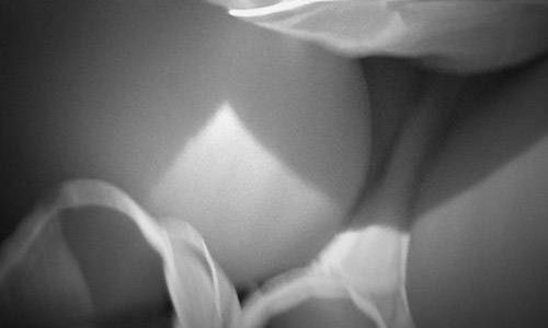 痴○記録日記 287【清楚系美女】