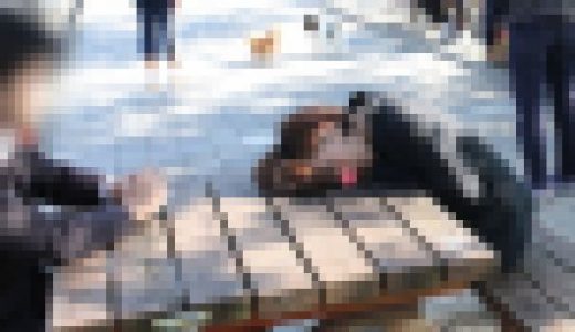 【野外調教】即イキ早漏妻27歳／SA公衆面前でリモバイ絶頂／13連イキ絶倫生ハメ中出し【個撮】