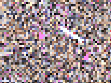 祭坂その26：文●祭で見つけた白P娘に無理やりお尋ねしたら…（フロントもゲット）