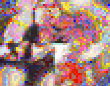 ★SALE【3本セット販売】あたなが今履いているパンツ見せて下さい 13人分25分以上　（44％OFF 1本549円）　