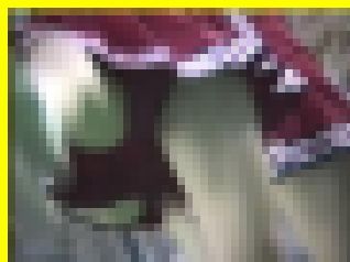 3096／「蒐集撮り・チアーでいこう（40）」