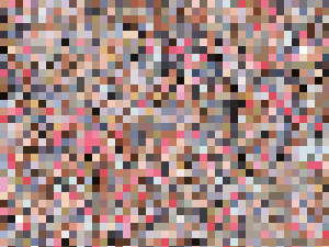 パンチラは無料で提供してくれる店員さん