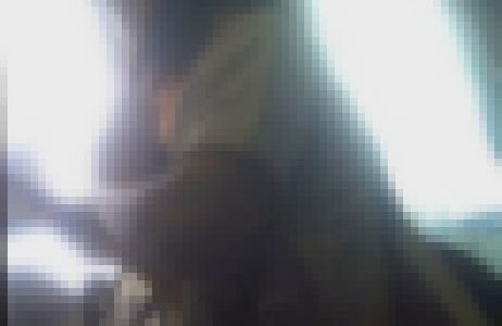 お姉さん詰め合わせ逆さ撮り　５名