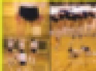 3282／「微笑み撮り・惜別のティーンズバレーが呼んでるよ（９）」