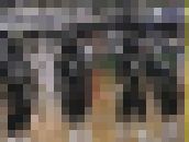 0005/「見納め撮り・レオタードバレーよ、永遠に」