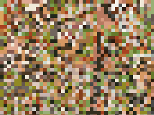 作業中はパンチラの宝庫　シワを気にする娘…