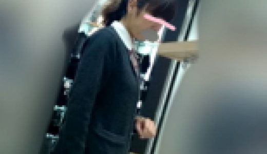 働くお姉さん14 百貨店店員    ～4年間の記録～