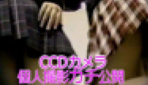 本編オリジナル公開 / CCDカメラが出始めてた頃に個人的に撮ってたパンティいっぱい(訳あり)