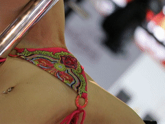 TAS'18 豪華＆難所ブース1 LOVE!キャンギャル vol.137動画&静止画SET【YMCG-1137】