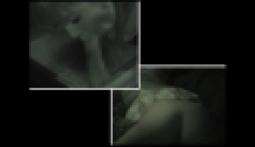 【ニート紳士】カーSEX盗撮倶楽部 #013