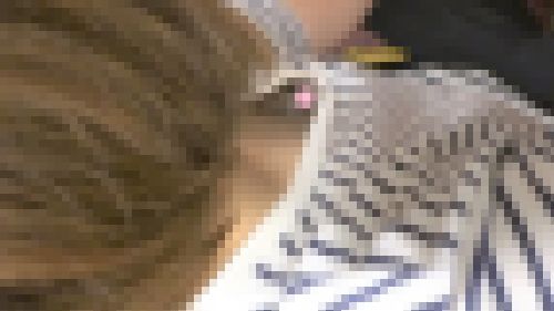 胸元の隙間vol.245