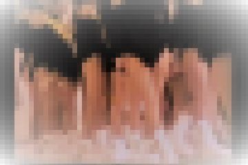 チームダンス№953 ハイレグチア