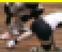 3433／「一心同体化撮り・萌えよ女子バレー、おいらが胸に（33）」