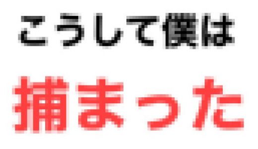 こうして僕は捕まった