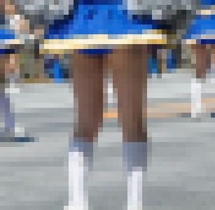 チア・パレード活動写真 Vol.45