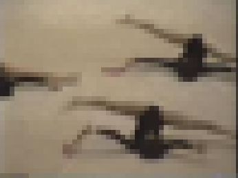 QQ-13 新〇操大会13