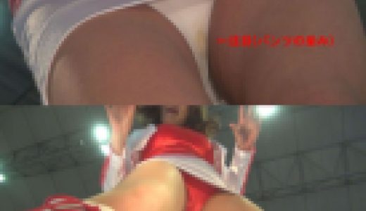 超高画質FHD動画 悪質カメコがブースに乱入して大パニック！キャンギャルのパンツ真っ逆さまから撮りまくりNO-1NO-2セット商