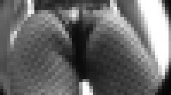 3006/「趣味&実益化撮り・クィンちゃんで一発!(3)」