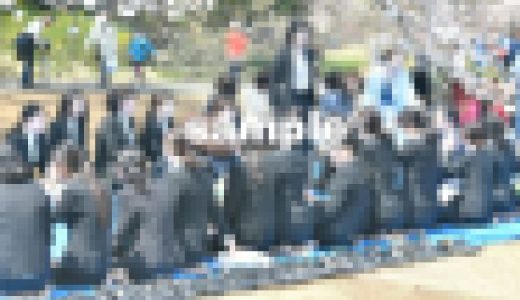 お花見?スーツガールズセレクト