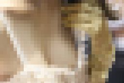 コンパニオン001