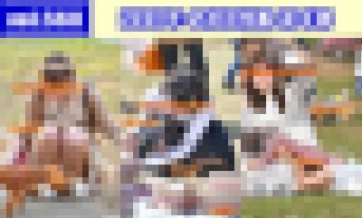 vol.568：2020年 お花見特集 第４弾