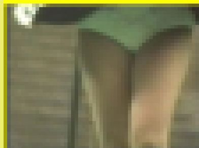 3944／「蒐集撮り・チアーでいこう（63）」