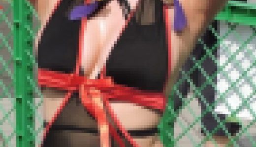 コスプレ2018夏形の良いおっぱい谷間にフル勃起！透け透け【動画】イベント編 4801と4809セット販売