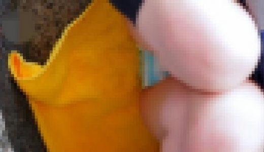 [セット商品] コミックマーケット コスプレ ★長時間対面純白パンチラ★ナースピンク縞パンチラ★生パンツ？チラ★強風めくれ上がり