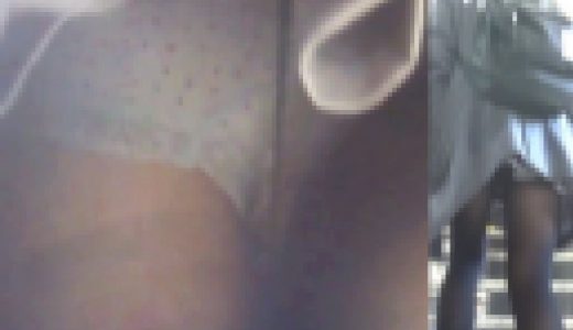 パンチラ盗撮 女子大生 レース付きの白い水玉パンツが黒パンストから透けて丸見え