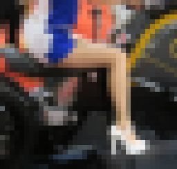 コンパニオン005