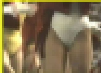 2760／「蒐集撮り・チアーでいこう（19）」