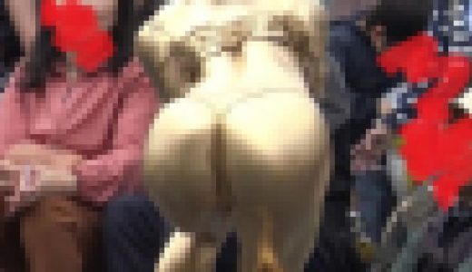 【フルHD動画】金の舞踏②　27分+おまけ8分