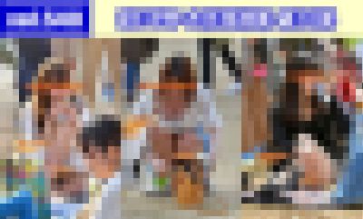 vol.540：2019年 お花見特集 第10弾