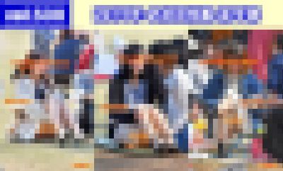 vol.538：2019年 お花見特集 第９弾