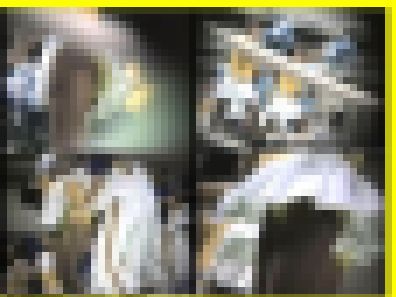 4311／「蒐集撮り・チアーでいこう（70）」