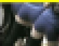 3825／「一心同体化撮り・萌えよ女子バレー、おいらが胸に（50）」