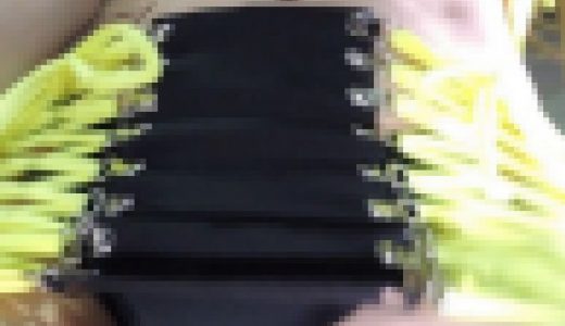 「下がって！通路空けて！」至近距離で真下から撮影ｗローアン2017オートサロン【動画】イベント編 3715