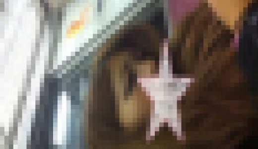 顔フェチ　ギャルの顔に接近