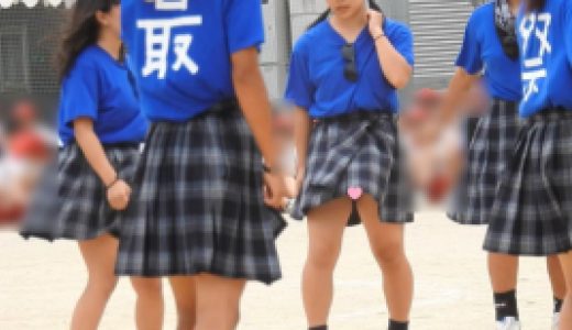 なにわガールズ４８５　何とか潜入 DE 白生パンティーちらりを撮影したで！