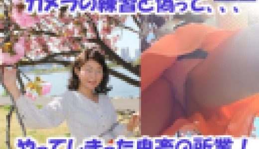 一撃目！桜の妖精のいたずらとお姉さんの純白レースパンティ。
