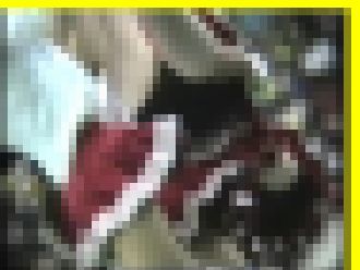 2885／「蒐集撮り・チアーでいこう（25）」