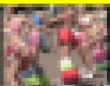 2943／「降臨撮り・サンバガール十年愛（２）」