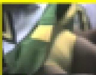 2895／「蒐集撮り・チアーでいこう（26）」