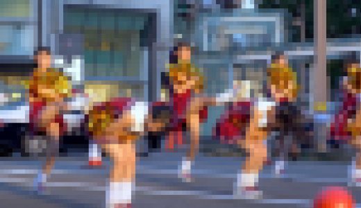 チア セット(チア 10-1・チア 10-2) 【4K】