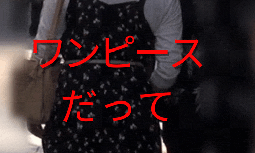 赤外線スケスケ_スカートを透け透けにされた女の子_006