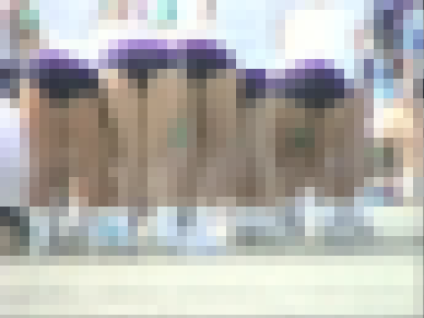 TB-Y06 天然記念ブル06