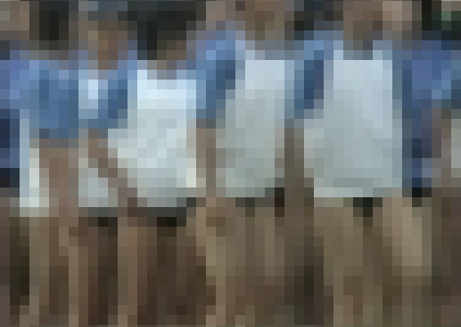 TB-Y08 天然記念ブル08